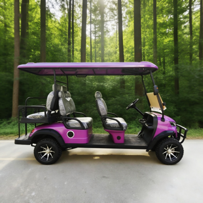 Outdoor Hunting Vehicle - Carrito de Golf Eléctrico con Batería
