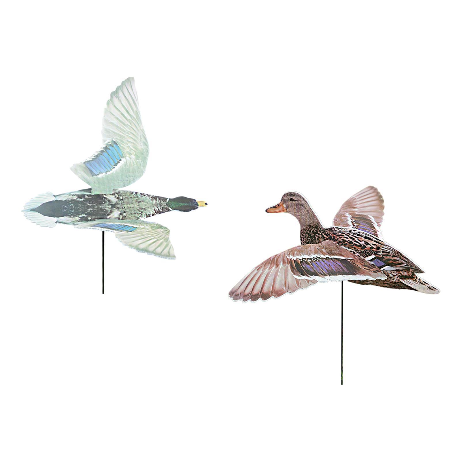 Señuelo de pato para caza al a - Hunting Outdoor Decor reseña y precio